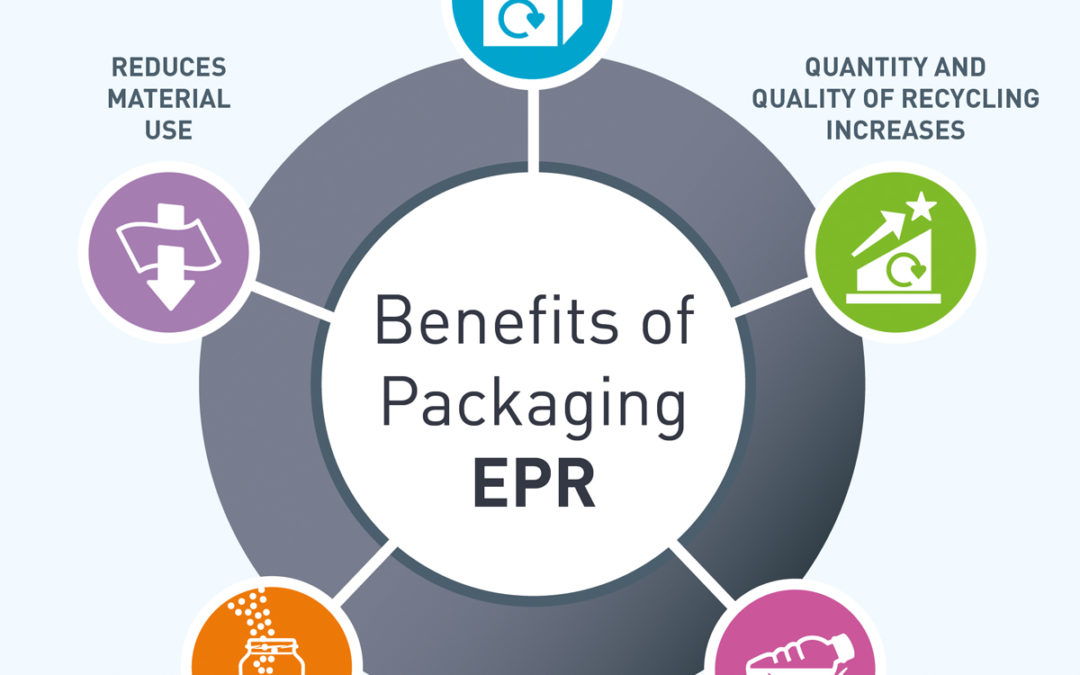 Article n°4 of the EPR series: Country-specific information – differences of procedure between France and Germany